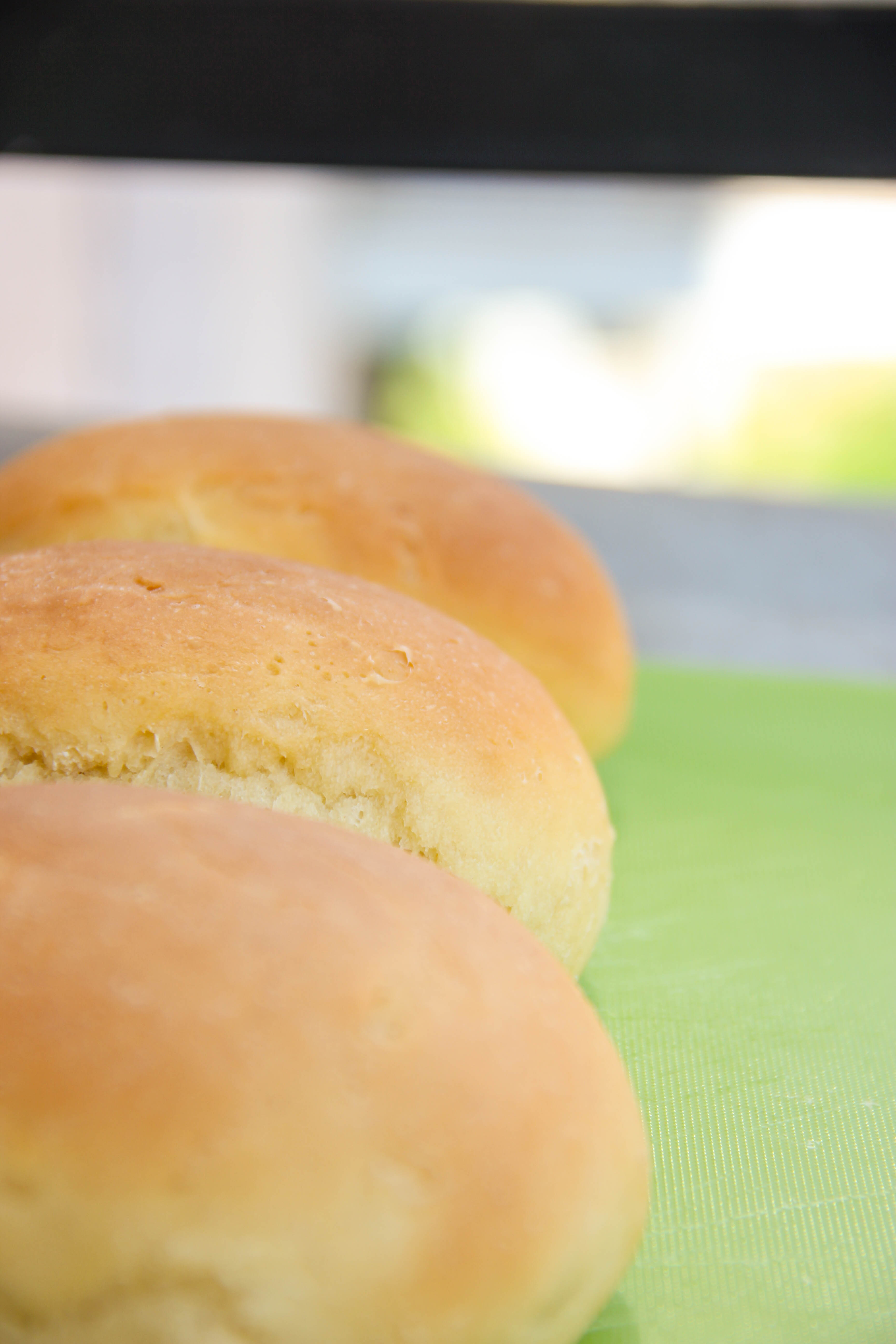 panini_burger_dettagli