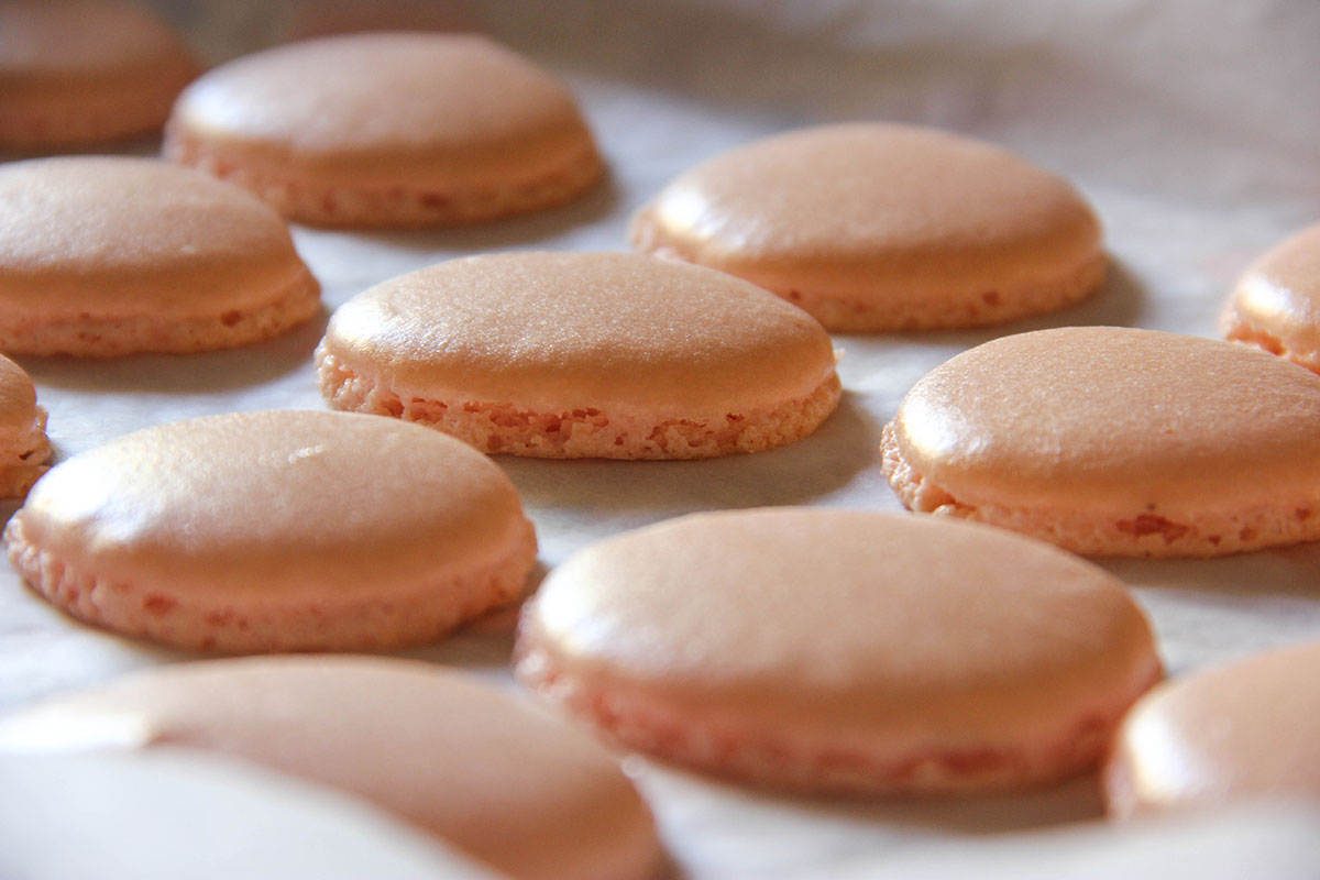 macaron cotti