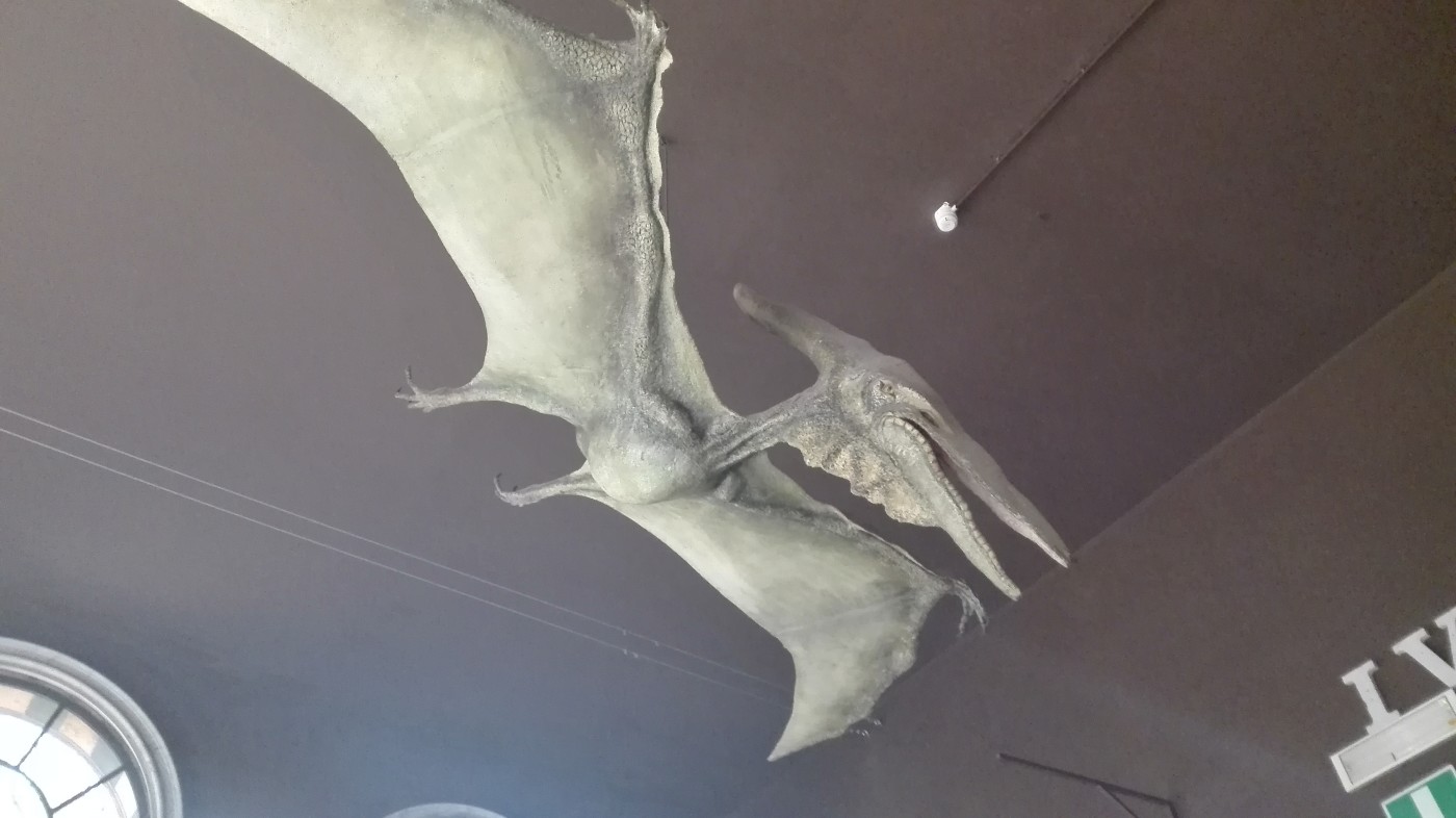 pterodattilo