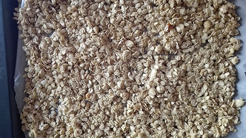 granola-da-infornare