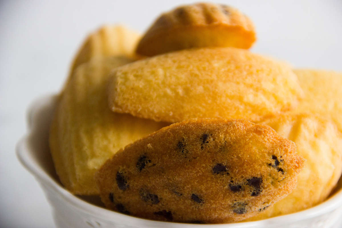 madeleine