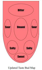 Posizioni errate dei sapori sulla lingua
