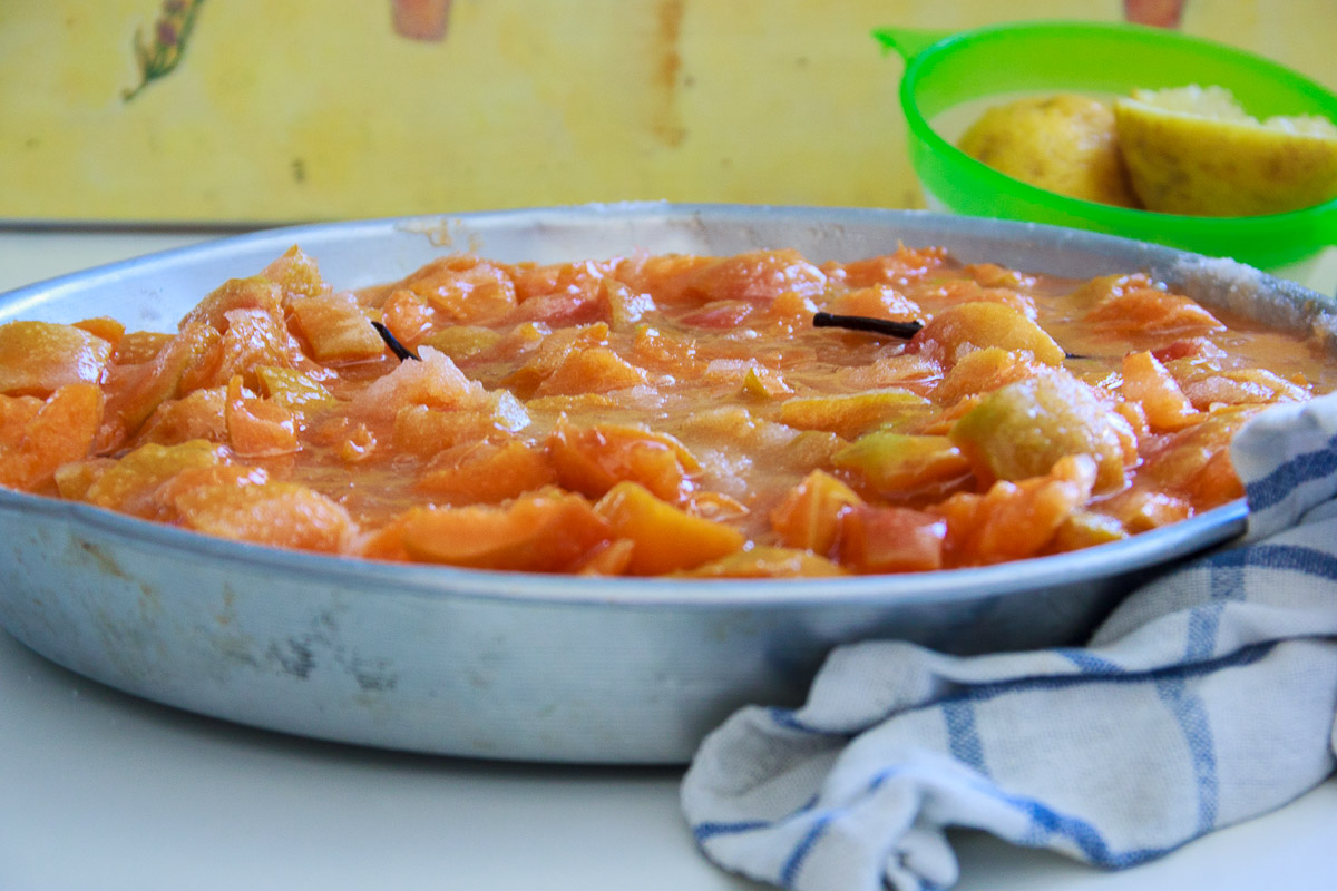 confettura-albicocche-vaniglia-Ferber-6