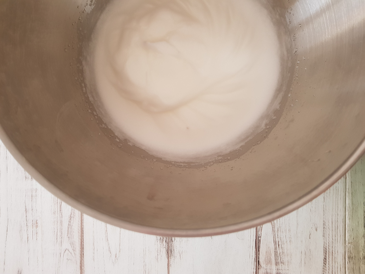 albumi montati a neve