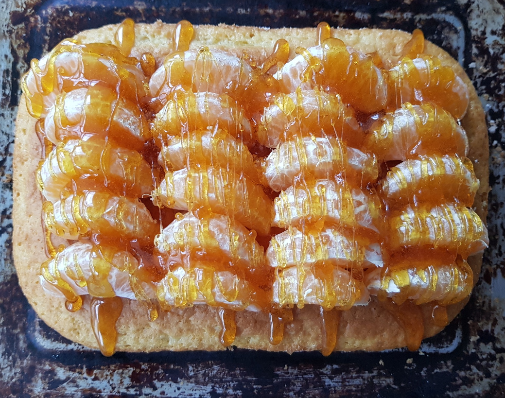 torta morbida ai mandarini e caramello