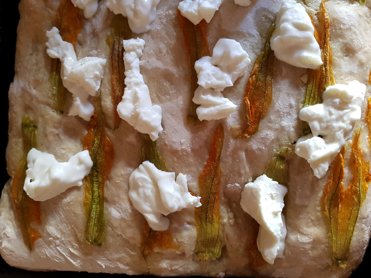 cruch-stracchino-fiori-zucca