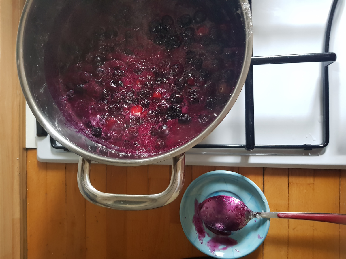 torta-grano-saraceno-mirtilli-senza-glutine5